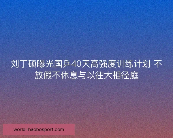 刘丁硕曝光国乒40天高强度训练计划 不放假不休息与以往大相径庭